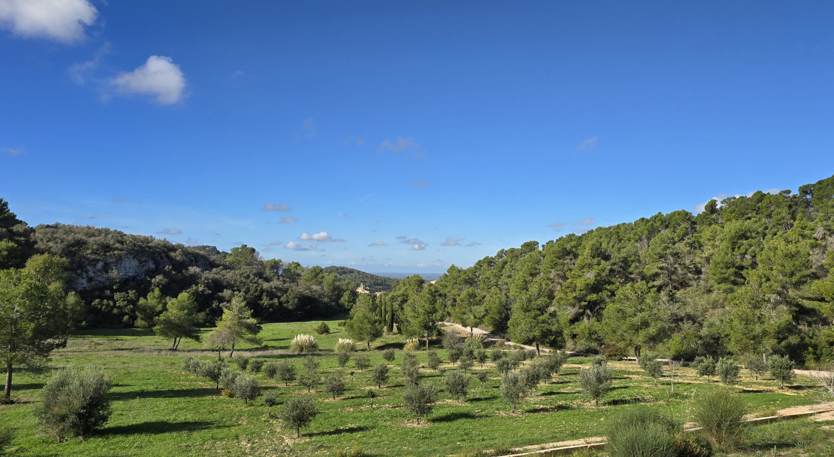Mallorca – Produkte aus der Eremitage